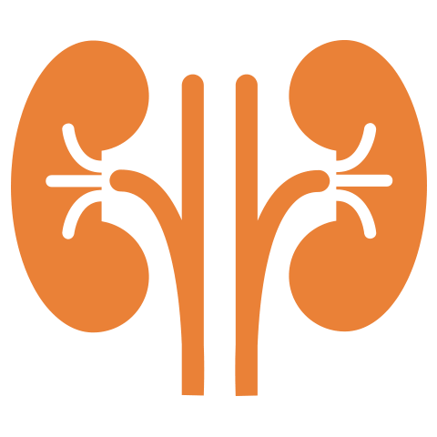 Moolchand | Best Chronic Kidney Care hospital | Top Nephrologists and Kidney Surgeons | Delhi & Agra, India 