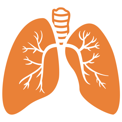 Moolchand |  Best COPD treatment Hospital in Delhi& Agra, India